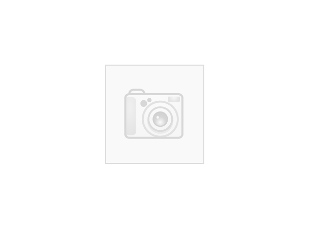 Maxxol Powerclean 1L 255MM PTY-2, 19